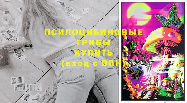 бошки Арсеньев
