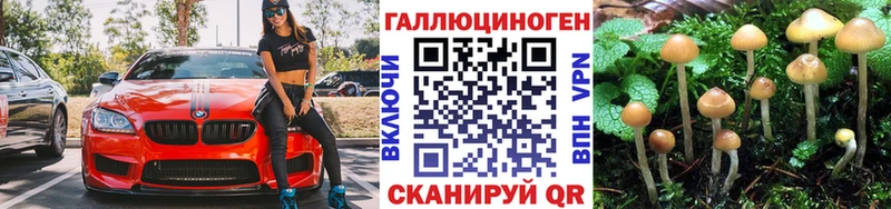 Псилоцибиновые грибы мухоморы  Елабуга 